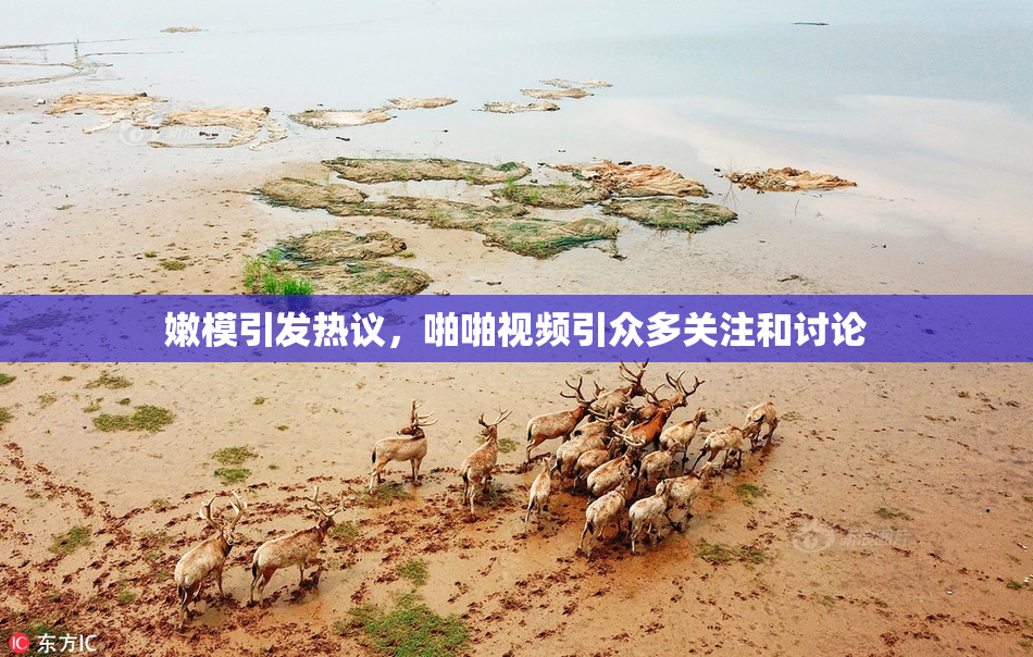 嫩模引发热议，啪啪视频引众多关注和讨论