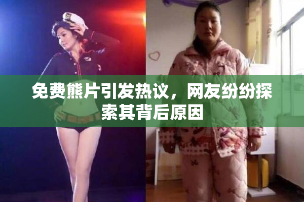 免费熊片引发热议，网友纷纷探索其背后原因