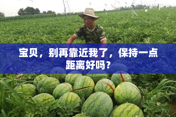 宝贝，别再靠近我了，保持一点距离好吗？