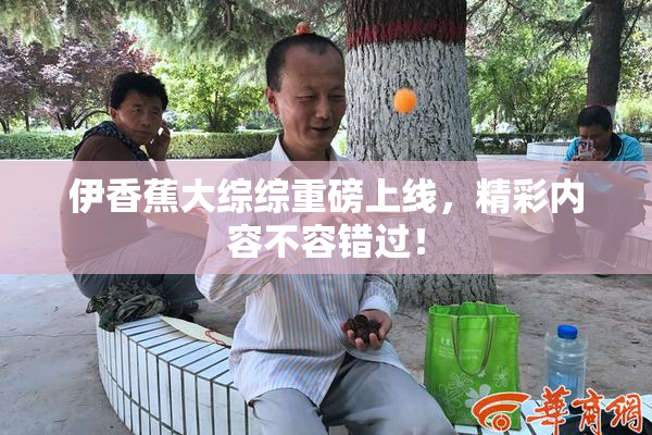 伊香蕉大综综重磅上线，精彩内容不容错过！