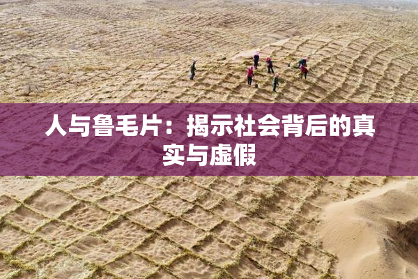 人与鲁毛片：揭示社会背后的真实与虚假
