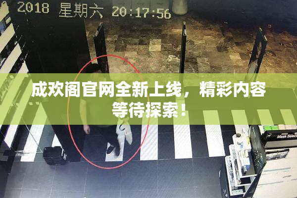 成欢阁官网全新上线，精彩内容等待探索！
