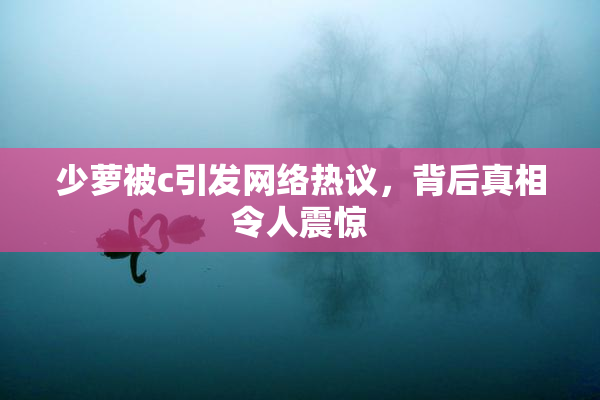 少萝被c引发网络热议，背后真相令人震惊