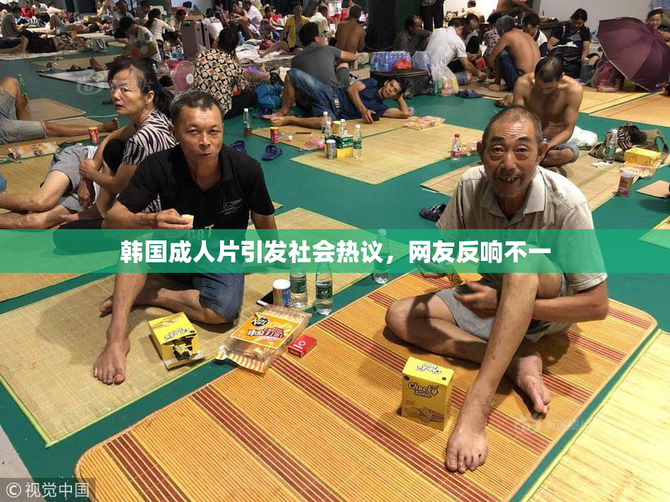 韩国成人片引发社会热议，网友反响不一