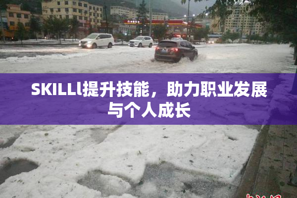 SKILLl提升技能，助力职业发展与个人成长