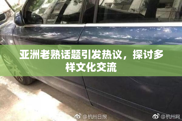 亚洲老熟话题引发热议，探讨多样文化交流