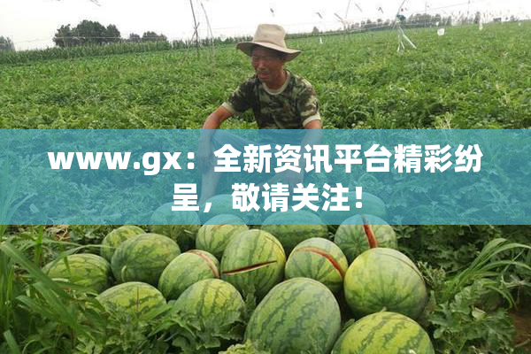 www.gx：全新资讯平台精彩纷呈，敬请关注！