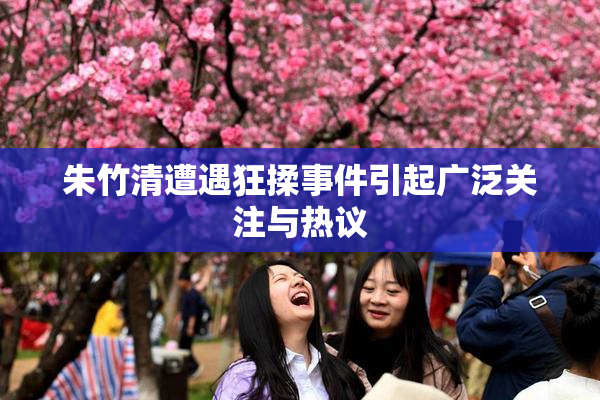 朱竹清遭遇狂揉事件引起广泛关注与热议