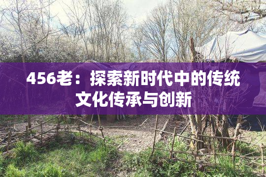 456老：探索新时代中的传统文化传承与创新