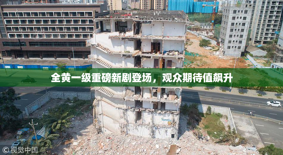 全黄一级重磅新剧登场，观众期待值飙升