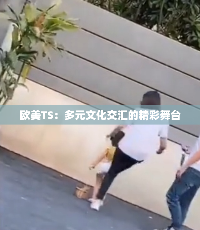 欧美TS：多元文化交汇的精彩舞台