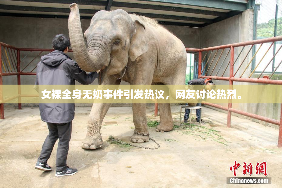 女裸全身无奶事件引发热议，网友讨论热烈。