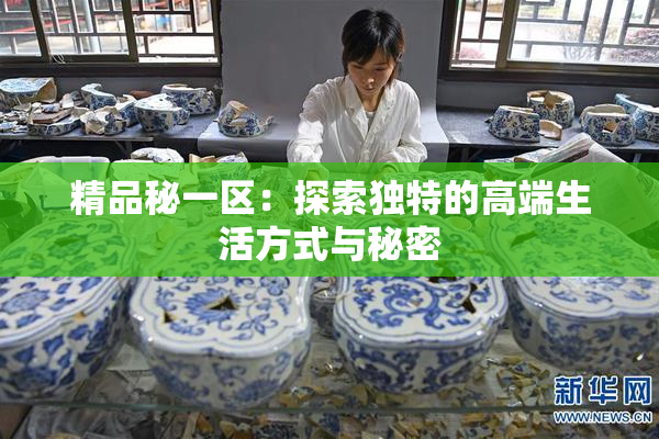 精品秘一区：探索独特的高端生活方式与秘密