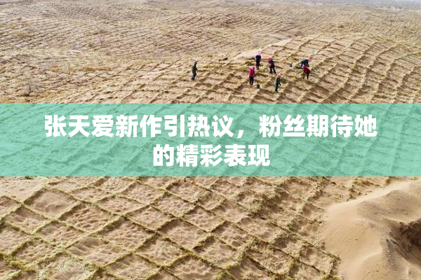 张天爱新作引热议，粉丝期待她的精彩表现