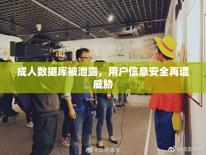 成人数据库被泄露，用户信息安全再遭威胁