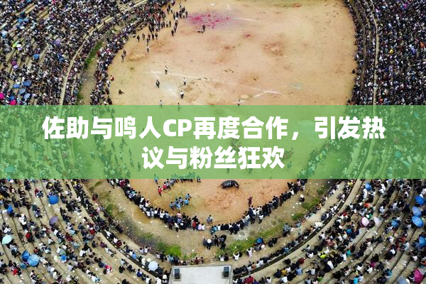 佐助与鸣人CP再度合作，引发热议与粉丝狂欢