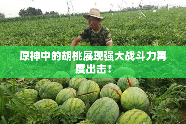 原神中的胡桃展现强大战斗力再度出击！