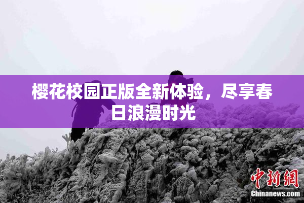 樱花校园正版全新体验，尽享春日浪漫时光