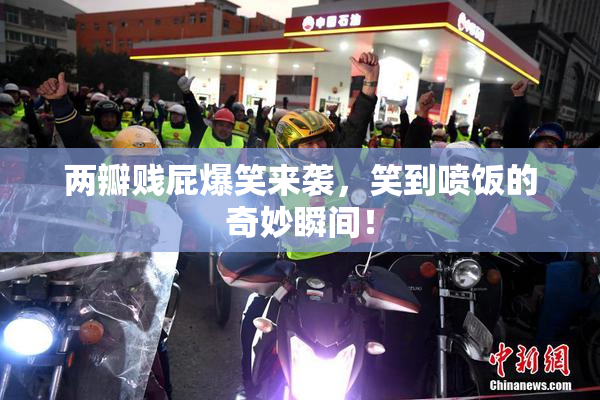 两瓣贱屁爆笑来袭，笑到喷饭的奇妙瞬间！