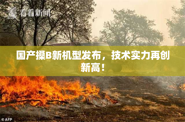 国产搡B新机型发布，技术实力再创新高！