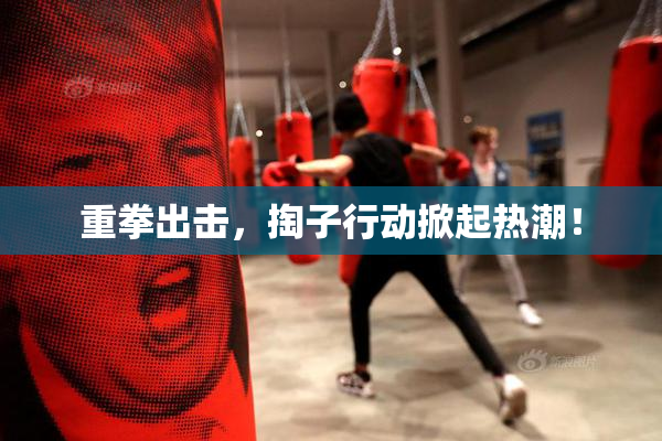 重拳出击，掏子行动掀起热潮！