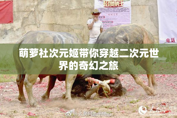 萌萝社次元姬带你穿越二次元世界的奇幻之旅
