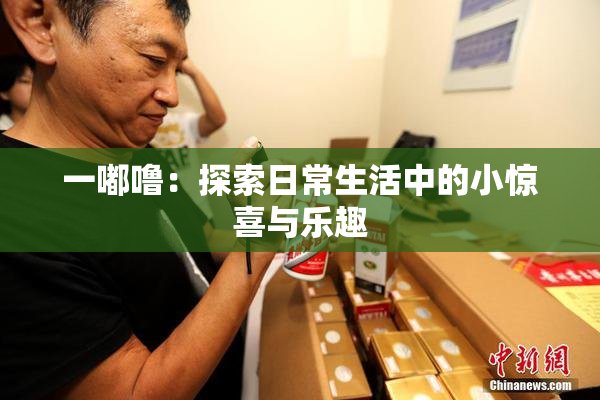一嘟噜：探索日常生活中的小惊喜与乐趣