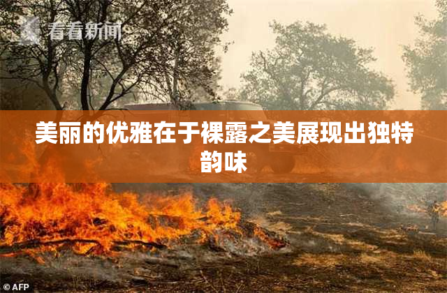美丽的优雅在于裸露之美展现出独特韵味