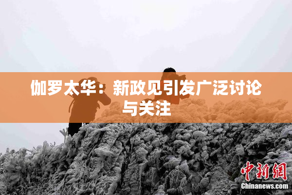 伽罗太华：新政见引发广泛讨论与关注