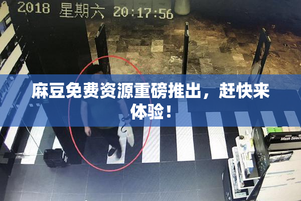 麻豆免费资源重磅推出，赶快来体验！
