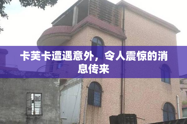 卡芙卡遭遇意外，令人震惊的消息传来