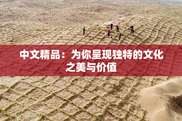 中文精品：为你呈现独特的文化之美与价值