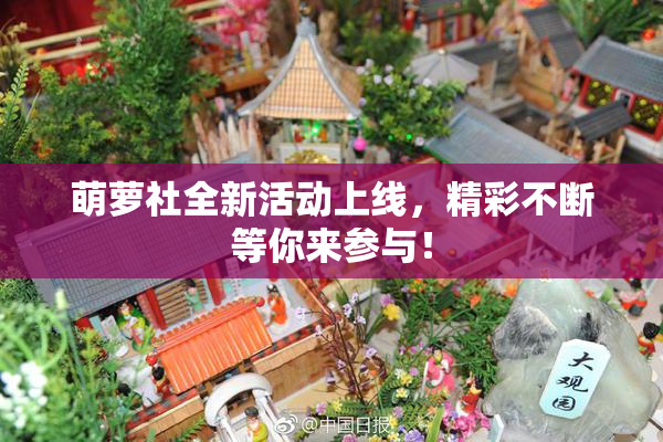 萌萝社全新活动上线，精彩不断等你来参与！