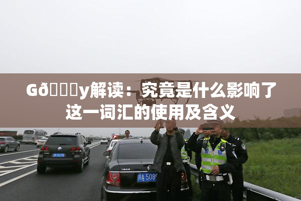 G🈚y解读：究竟是什么影响了这一词汇的使用及含义