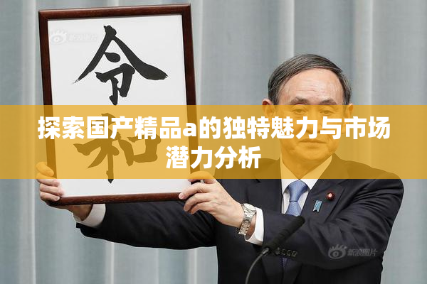 探索国产精品a的独特魅力与市场潜力分析