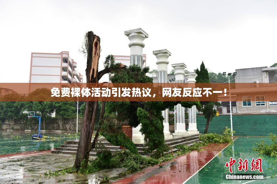 免费裸体活动引发热议，网友反应不一！