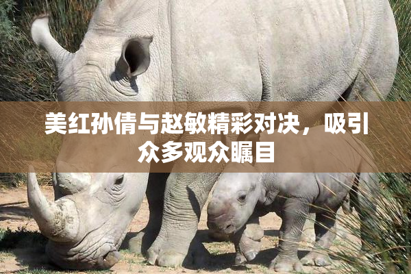 美红孙倩与赵敏精彩对决，吸引众多观众瞩目