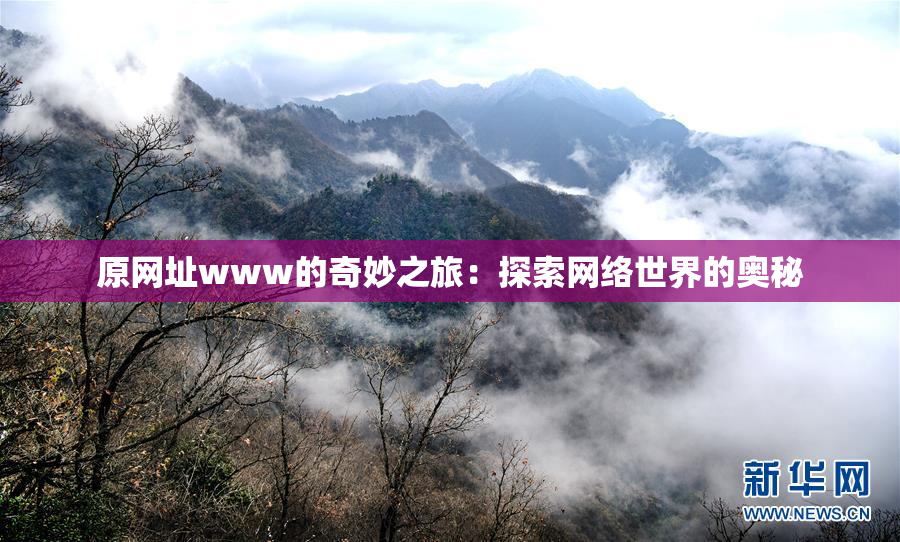 原网址www的奇妙之旅：探索网络世界的奥秘