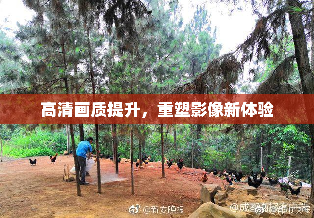 高清画质提升，重塑影像新体验