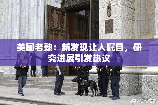 美国老熟：新发现让人瞩目，研究进展引发热议