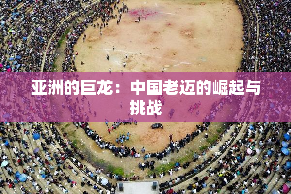 亚洲的巨龙：中国老迈的崛起与挑战