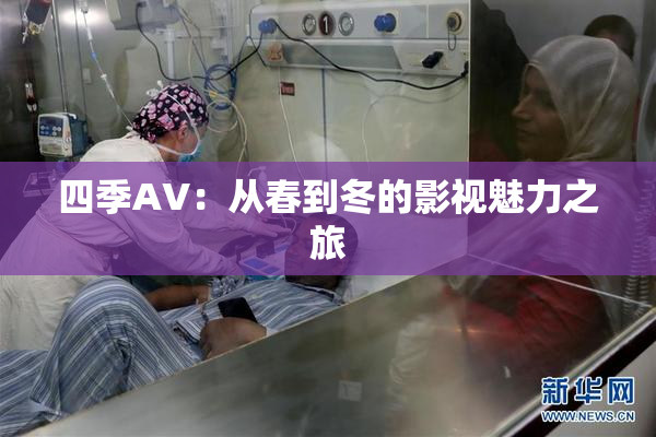 四季AV：从春到冬的影视魅力之旅