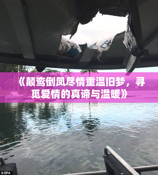 《颠鸾倒凤尽情重温旧梦，寻觅爱情的真谛与温暖》