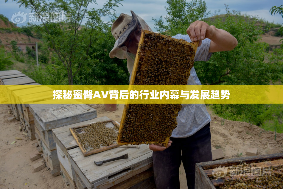 探秘蜜臀AV背后的行业内幕与发展趋势