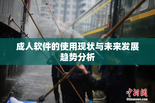 成人软件的使用现状与未来发展趋势分析