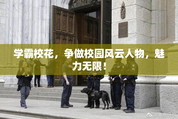 学霸校花，争做校园风云人物，魅力无限！
