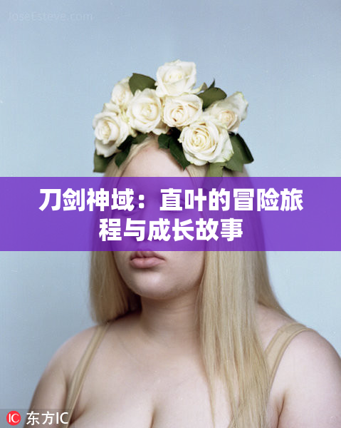 刀剑神域：直叶的冒险旅程与成长故事