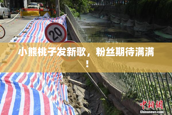 小熊桃子发新歌，粉丝期待满满！
