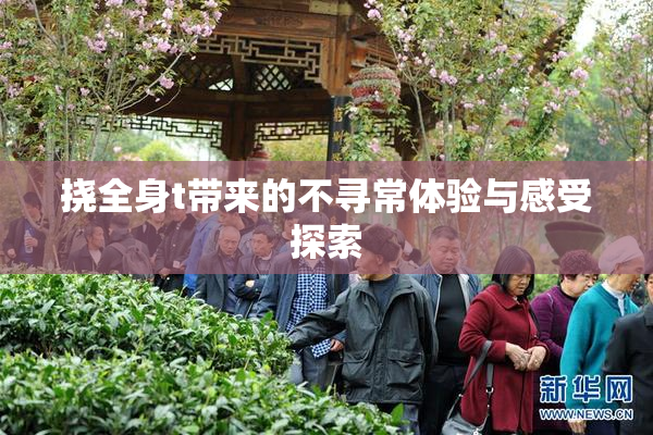 挠全身t带来的不寻常体验与感受探索