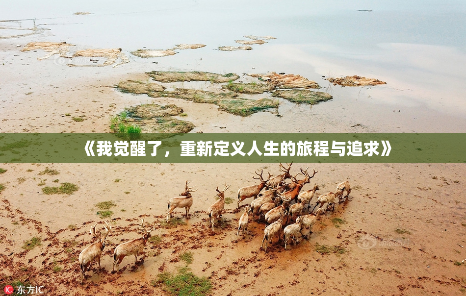 《我觉醒了，重新定义人生的旅程与追求》